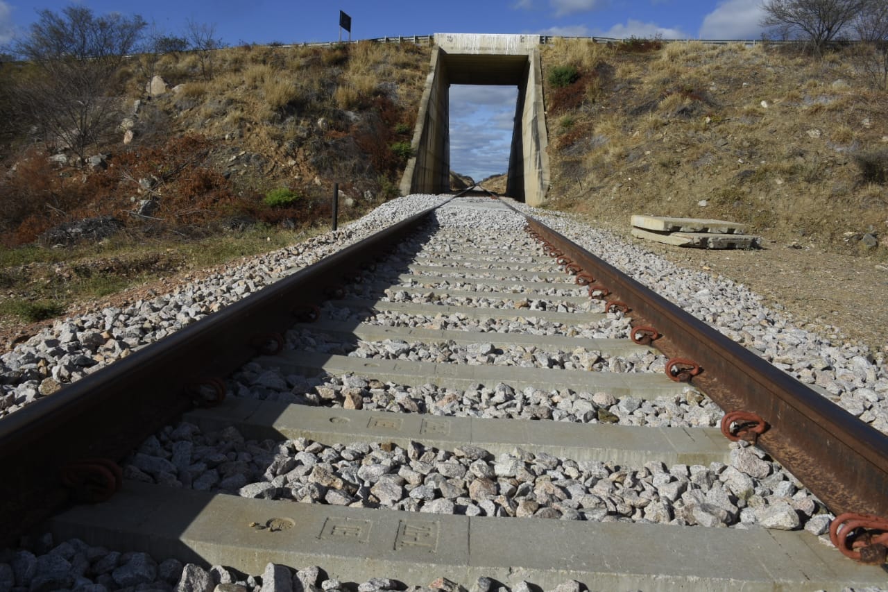 Ferrovia Transnordestina (Foto: Francisco Gilásio)